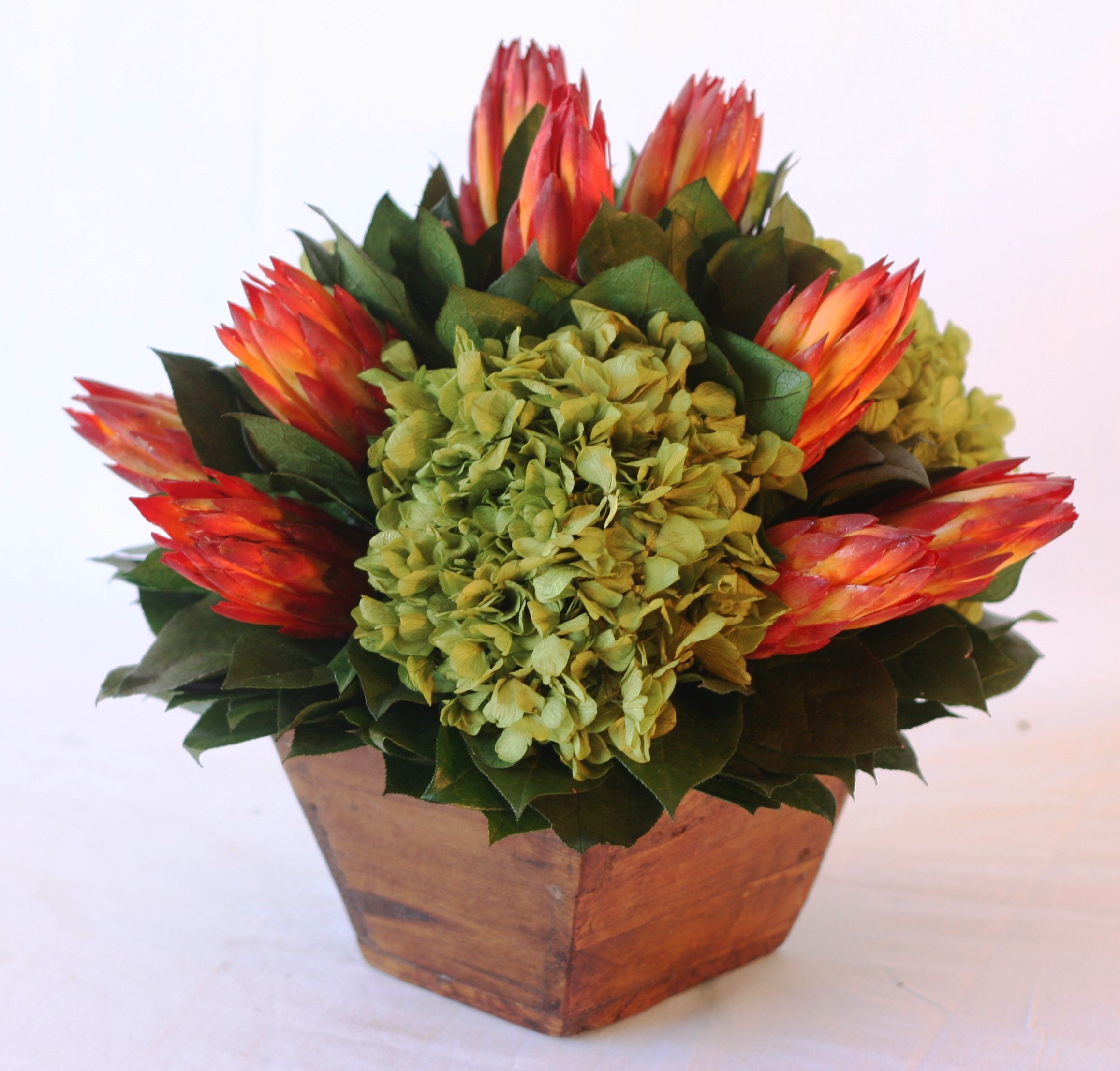 Vintage Protea with Hydrangea - Click Image to Close